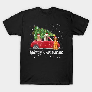 Funny Nova Scotia Duck Tolling Retriever Rides Car Red Truck Christmas - Merry Christmas Dog T-Shirt